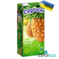 X103 SADOCHOK PINEAPPLE-APPLE NECTAR (12X0.95L)