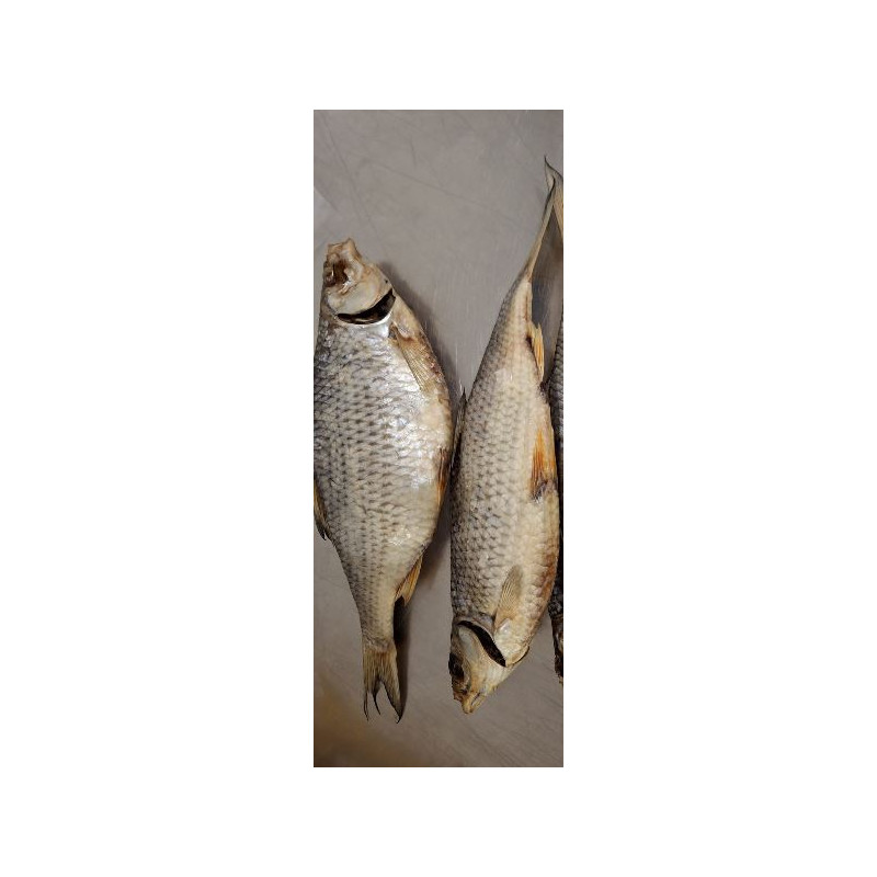 B280 ONIORS ROACH DRIED ( APP. 3 KG IN BOX) PRICE PER KG