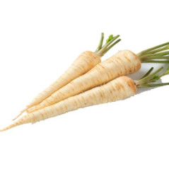 U012 PARSLEY ROOTS (5 KG) PRICE PER KG/ ORDER BY BOX