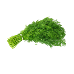 U085 DILL ES (APP 3 KG) PRICE PER KG/ ORDER BY BOX
