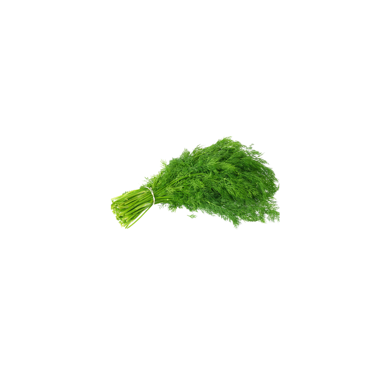 U085 DILL ES (APP 3 KG) PRICE PER KG/ ORDER BY BOX