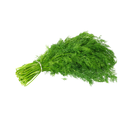 U085 DILL ES (APP 3 KG) PRICE PER KG/ ORDER BY BOX