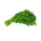 U085 DILL ES (APP 3 KG) PRICE PER KG/ ORDER BY BOX