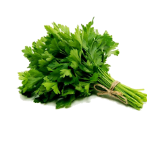U086 PARSLEY FLAT (APP. 4 KG) PRICE PER KG/ ORDER BY BOX