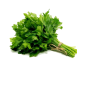 U086 PARSLEY FLAT (APP. 4 KG) PRICE PER KG/ ORDER BY BOX