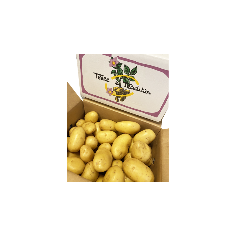 UP001 WASHED POTATOES  AGATA (12.5 KG) PRICE KG/ORDER BOX