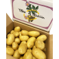 UP001 WASHED POTATOES  AGATA (12.5 KG) PRICE KG/ORDER BOX