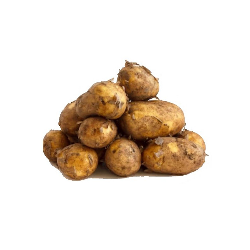 UP005 POTATOES NEW CROP (10KG) PRICE PER KG / ORDER BY BOX