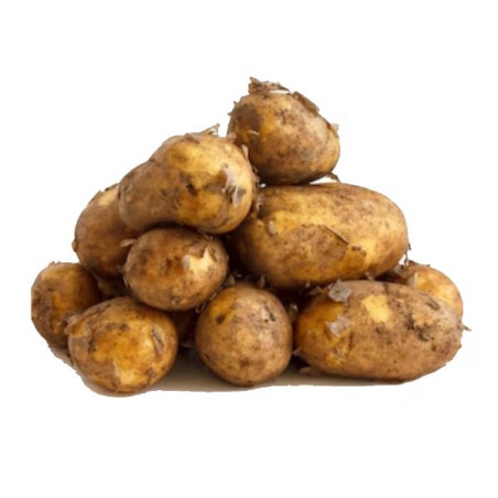 UP005 POTATOES NEW CROP (10KG) PRICE PER KG / ORDER BY BOX