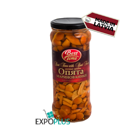 B327 MUSHROOMOFF CANNED MUSHROOMS HONEY AGARIC (12X580ML)