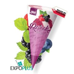 C104 LODY JAN ROZEK OWOCE LESNE 40X110ML