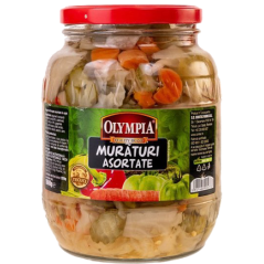 Q266 OLYMPIA MURATURI ASORTATE 2X1700ML