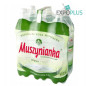 X007 MUSZYNIANKA NISKONASYCONA CO2 (6X1.5L) N/G