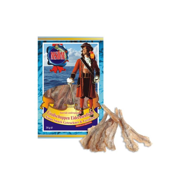 Y010 MSDM BRUSHTOOTH LIZARDFISH SALTED (25X36G)