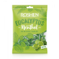 K794 ROSHEN HARD CANDIES EUCALYPTUS-MENTOL (8X1KG)