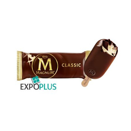 C992 MAGNUM CLASSIC (20X110ML)