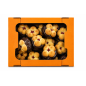 K890 GC BUTTER COOKIE WITH MARMALADE BASE ALPYSKA KVITOCHKA 500G