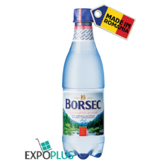 X001 BORSEC MINERALA 12X0.5L