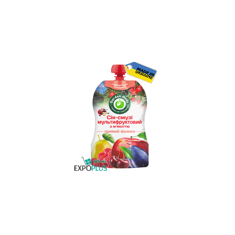 K267 GADZ MULTI-FRUIT JUICE-SMOOTHIE WITH PULP (10X185ML)