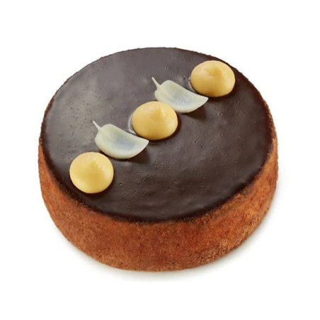 C475 VATSAK TAART VOGELMELK (6X500G)