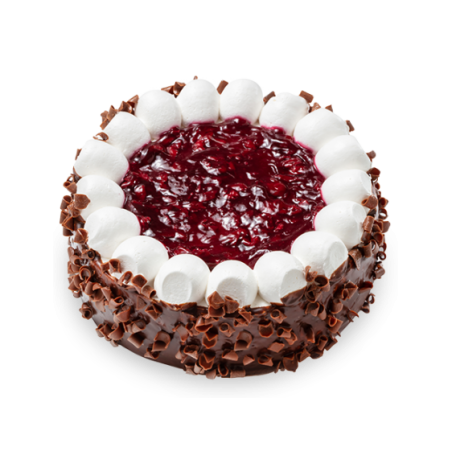 C476 VATSAK HONNEY BERRY (6X500G)