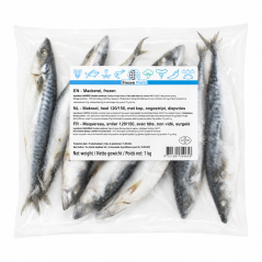 C628 FROZEN WORLD MACKEREL WHOLE WITH HEAD NOT GUTTED (10X1KG)