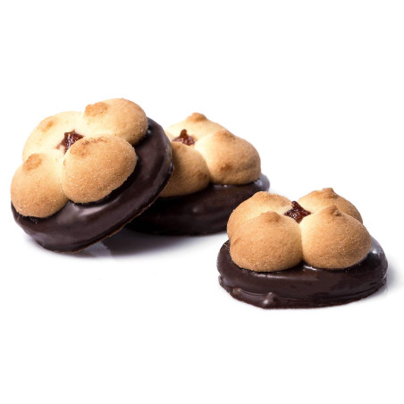 K890 GC BUTTER COOKIE WITH MARMALADE BASE ALPYSKA KVITOCHKA 500G