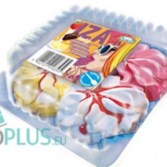 C163 KORAL IZA 30X270ML