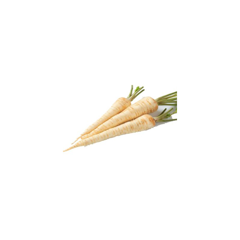 U012 PARSLEY ROOTS NEW CROP 2026 (5 KG) U012 PARSLEY ROOTS NEW CROP 2026 (5 KG)
