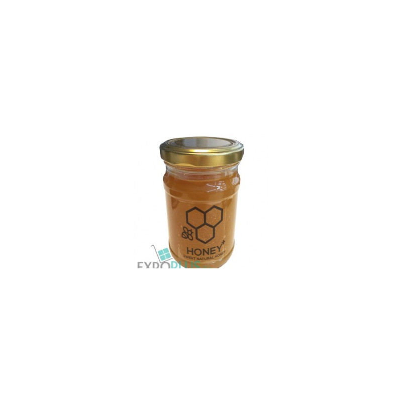 J001 HONEY SWEET NATURAL HONEY 9X450G