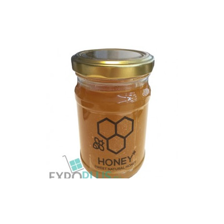J001 HONEY SWEET NATURAL HONEY 9X450G
